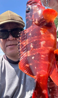 アカハタの釣果