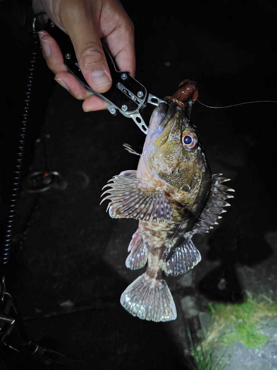 SHIMANO 22ブレニアス エクスチューン S78MLの最安値・インプレ