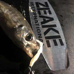 アジ