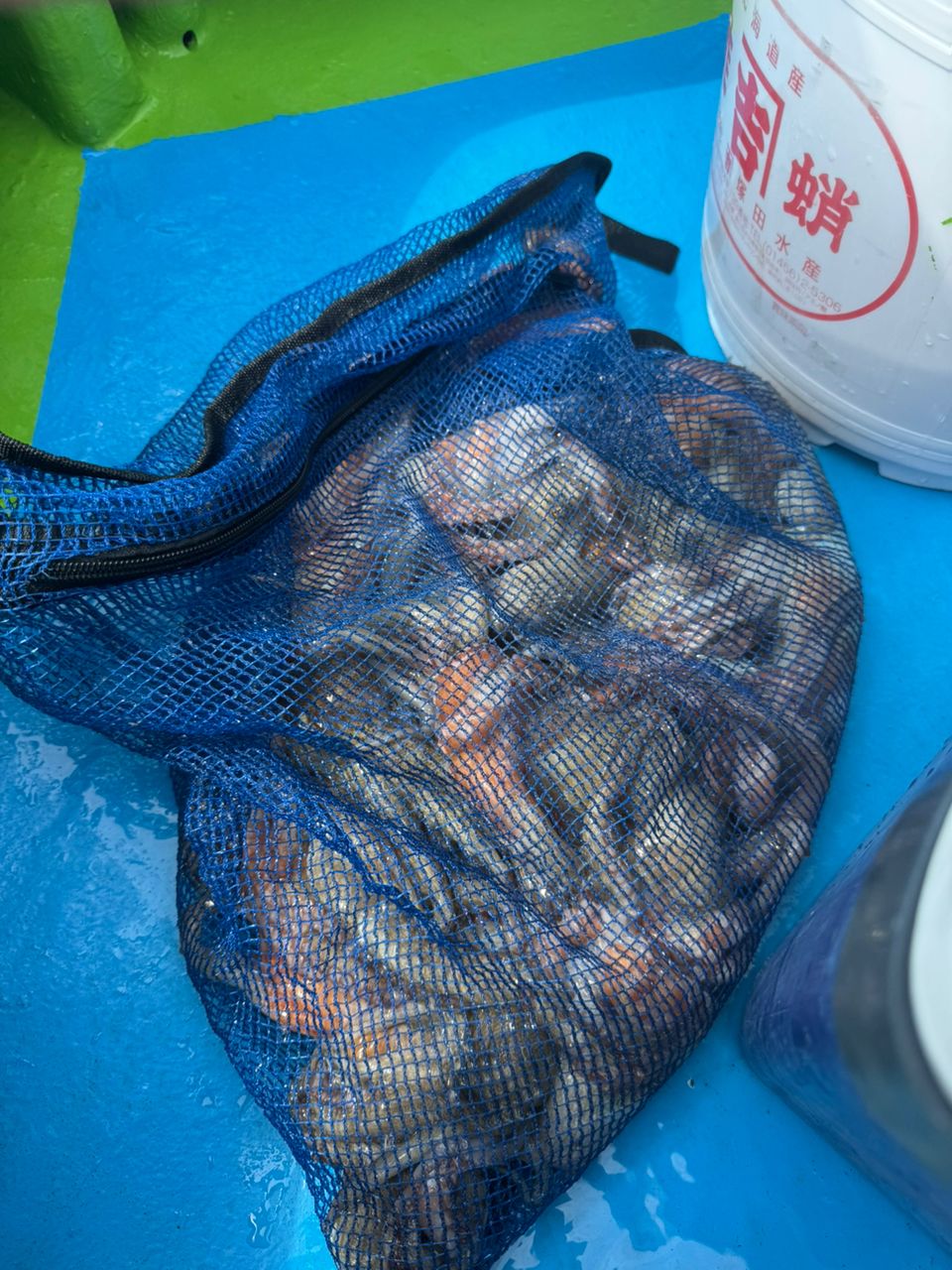 kunchanさんの釣果 1枚目の画像