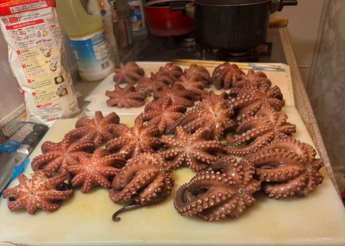 kunchanさんの釣果 3枚目の画像