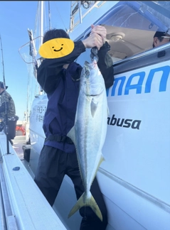 ブリの釣果