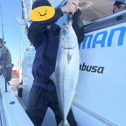 ブリ