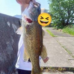 ブラックバス