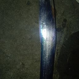 タチウオ