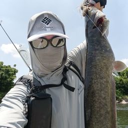 ナマズ
