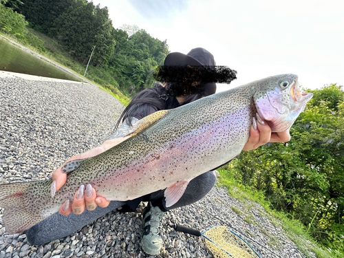 ニジマスの釣果