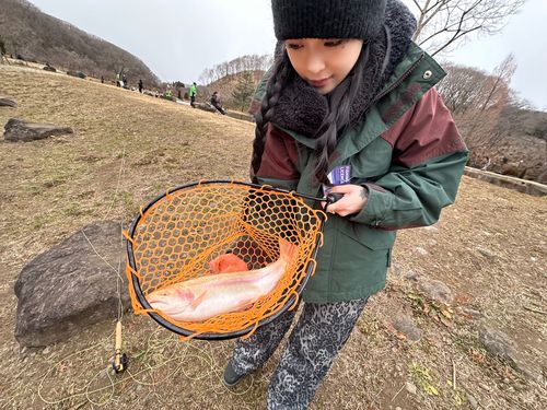 アルビノニジマスの釣果