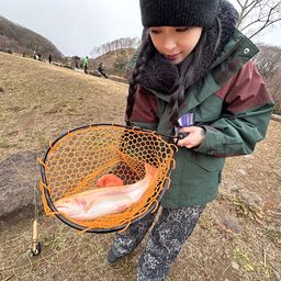 アルビノニジマス