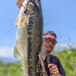 ラージマウスバス