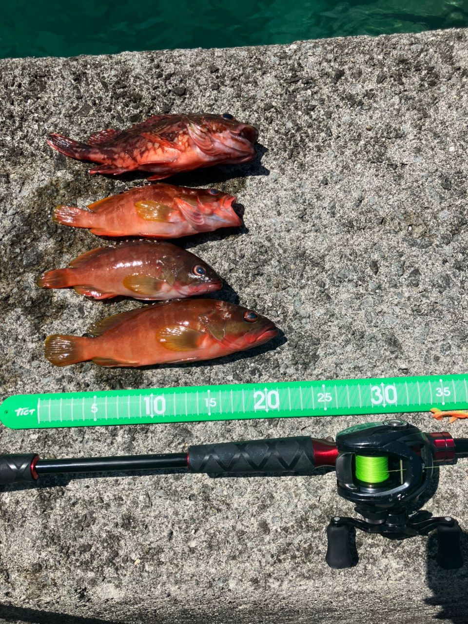 ロッド 21HRF AIR 73M/MHB Amazon | ダイワ(DAIWA) ロッド 21 HRF(ハードロックフィッシュ