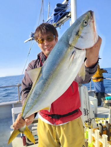 ブリの釣果