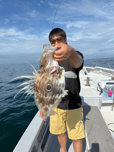 マトウダイの釣果