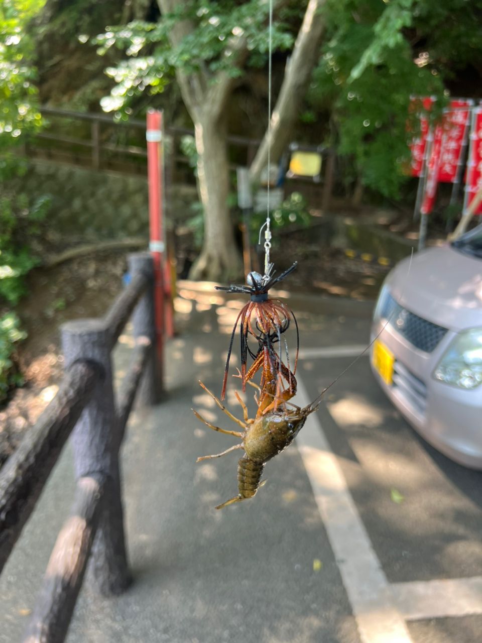 ブルーギル