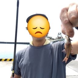 ネンブツダイ