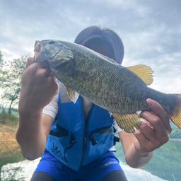 スモールマウスバス