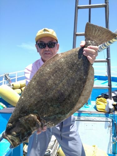 ヒラメの釣果