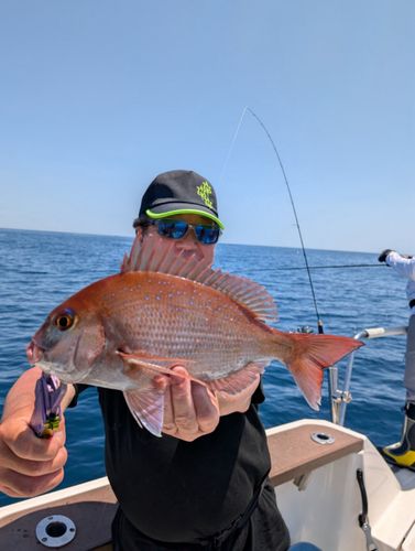 タイの釣果