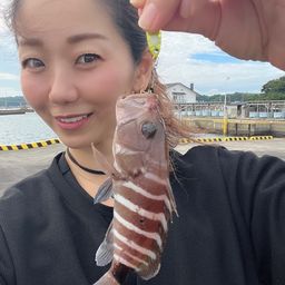 マハタ