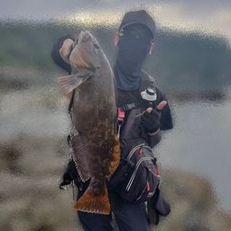アイナメ