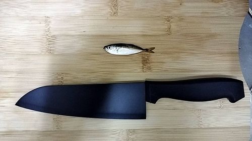 アジ