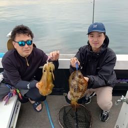 アオリイカ