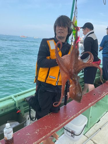 タコの釣果