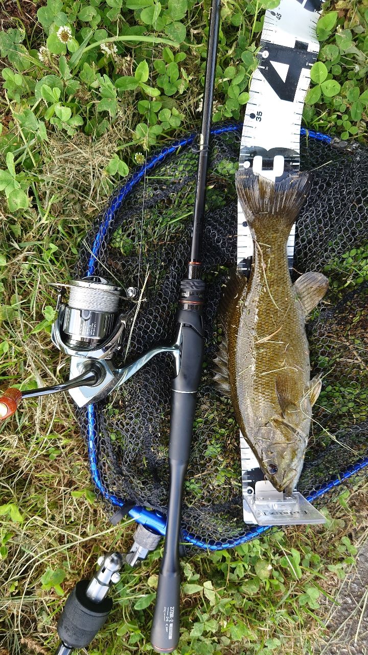 スモールマウスバス