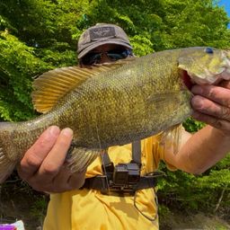 スモールマウスバス