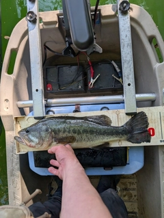 釣果