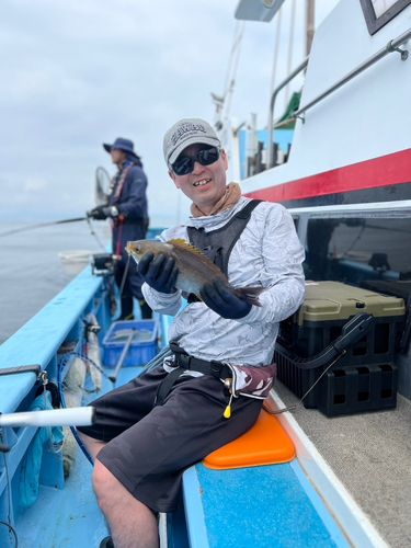 イサキの釣果