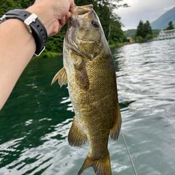 スモールマウスバス