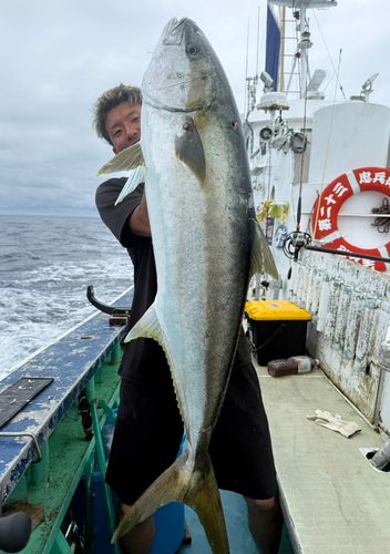 カンパチの釣果