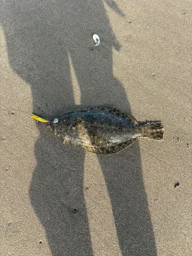 釣果