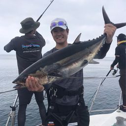 ビンチョウマグロ