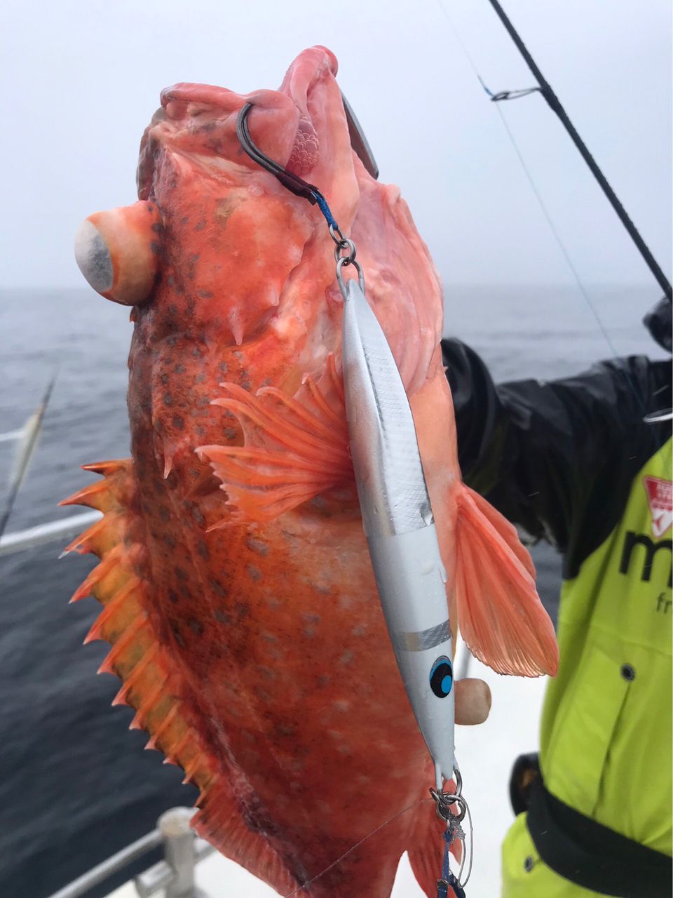 Golden Eagleさんの釣果 2枚目の画像