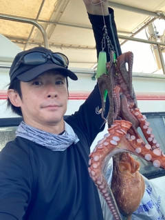 タコの釣果