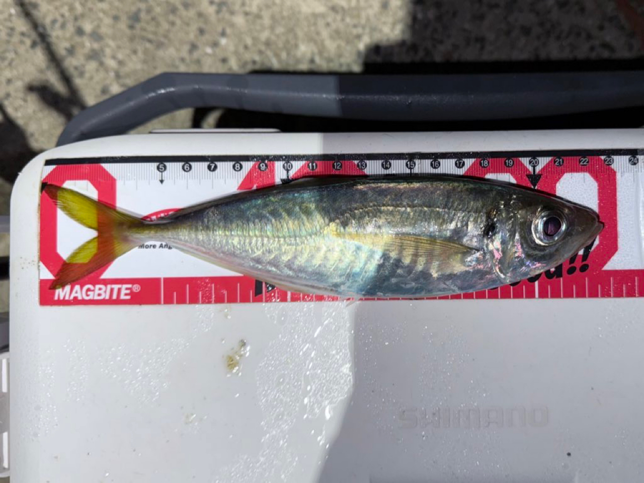 SHIMANO 20ソアレ エクスチューン S510SUL+-Sの最安値・インプレ