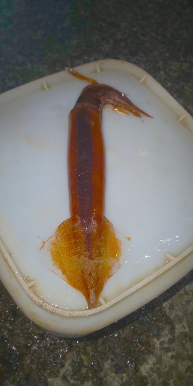 マイカ