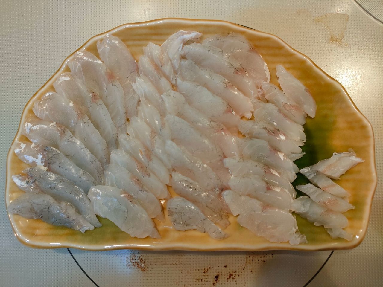 マゴチ