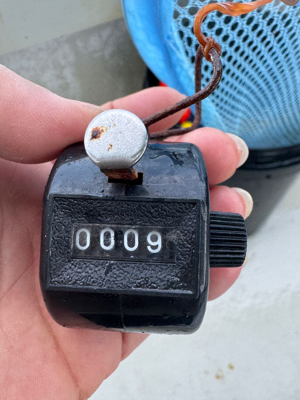 わんこわんさんの釣果 2枚目の画像