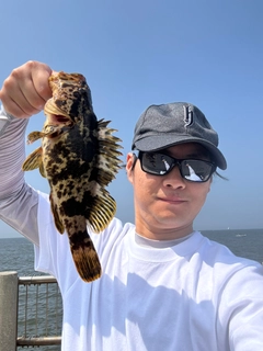 タケノコメバルの釣果