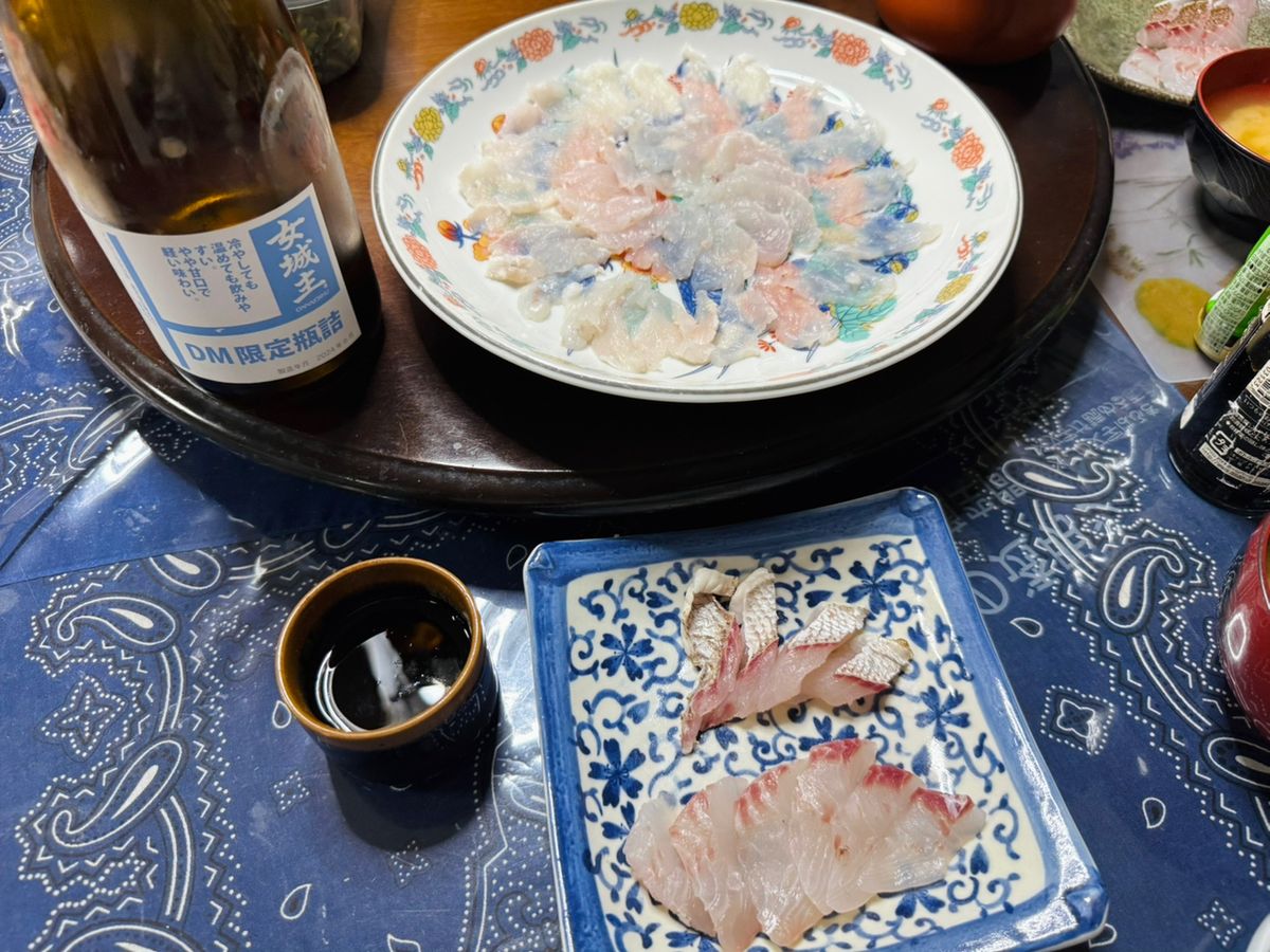 メティニスさんの釣果 3枚目の画像