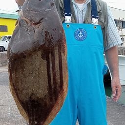 ヒラメ