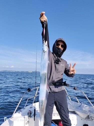 タチウオの釣果