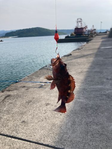 釣果