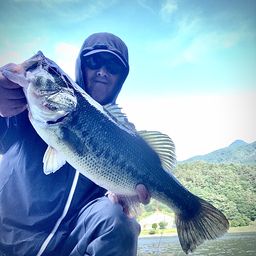 ブラックバス