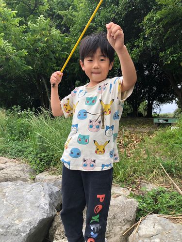 テナガエビの釣果