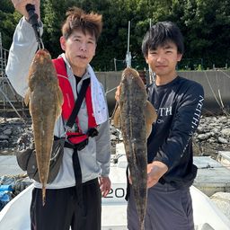 マゴチ