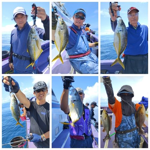 シマアジの釣果